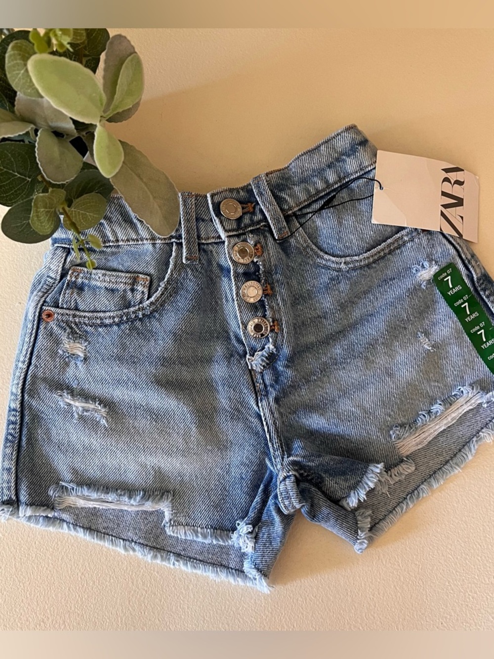 Zara shorts